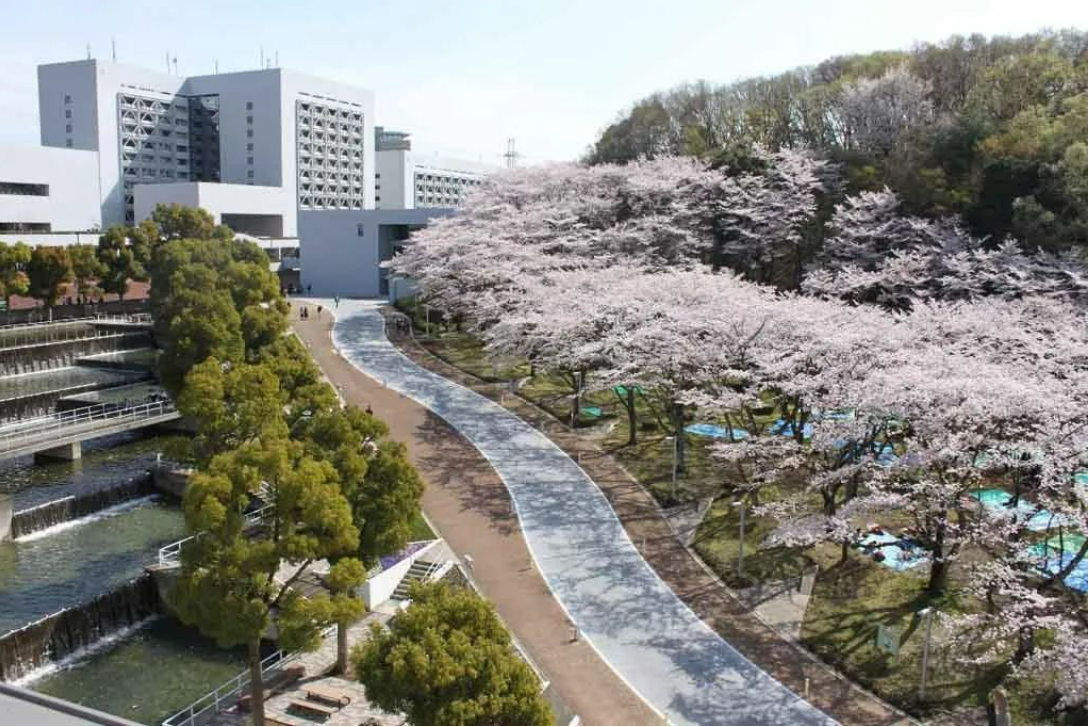 知日塾文系大学院のプレミアム少人数クラス
